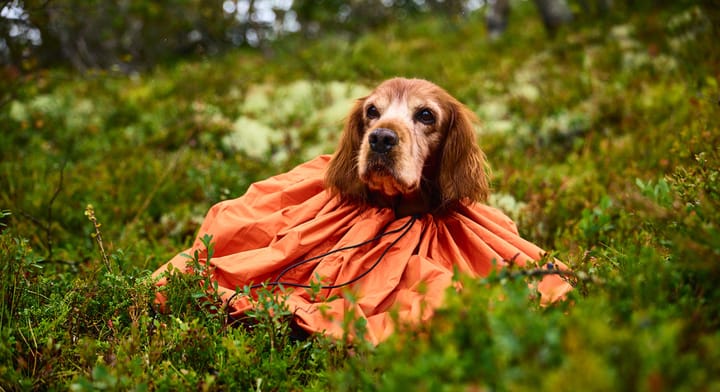 Non-stop Dogwear Bivvy Bag Orange Small Non-stop Dogwear