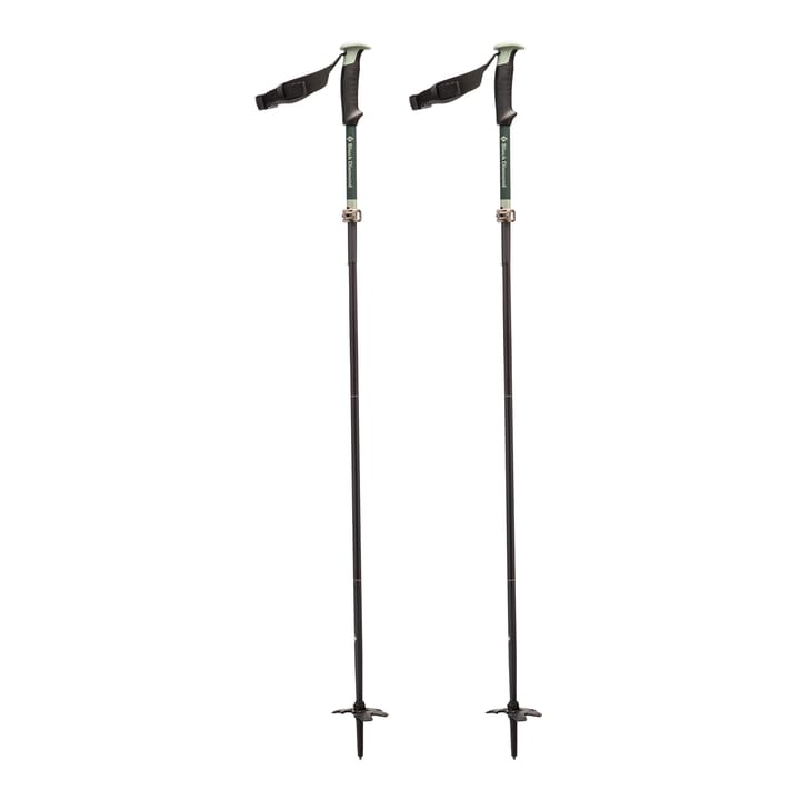 Black Diamond Compactor Ski Poles Nocolour Black Diamond