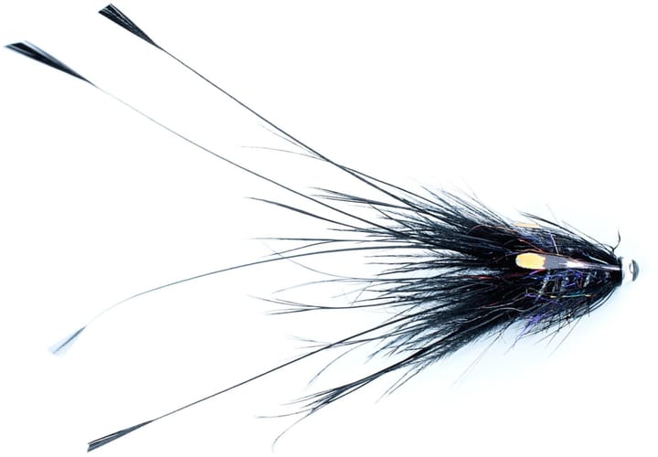 Frodin Flies Frödin Pig Series Black Frodin Flies