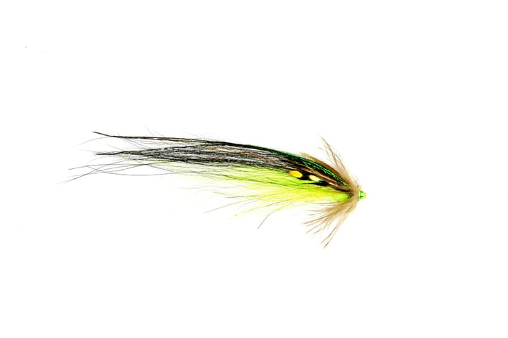 Frodin Flies Frödin Flies Btt Nobody Series Barrett Bimbo Frodin Flies