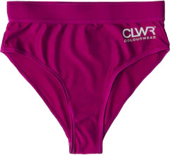 ColourWear Women’s High Waist Bikini Bottom Purple