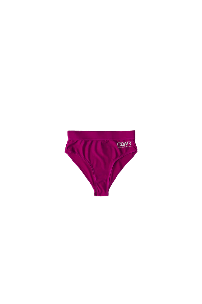 ColourWear Women's High Waist Bikini Bottom Purple ColourWear