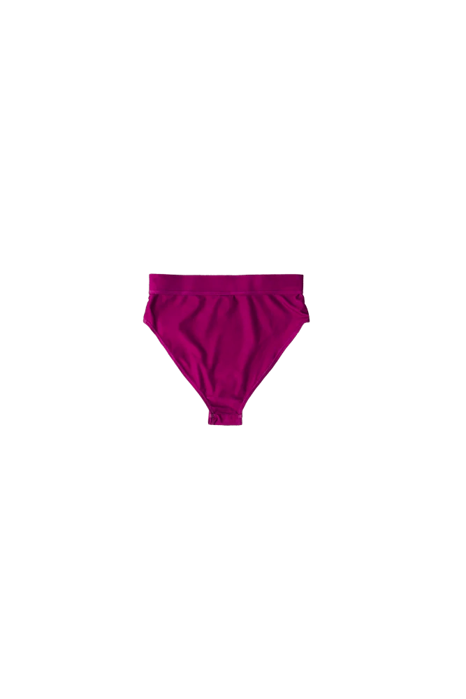 ColourWear Women's High Waist Bikini Bottom Purple ColourWear