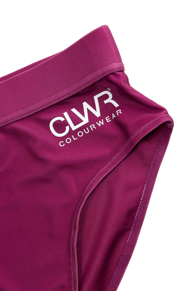 ColourWear Women’s High Waist Bikini Bottom Purple