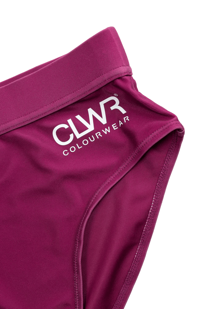 ColourWear Women's High Waist Bikini Bottom Purple ColourWear