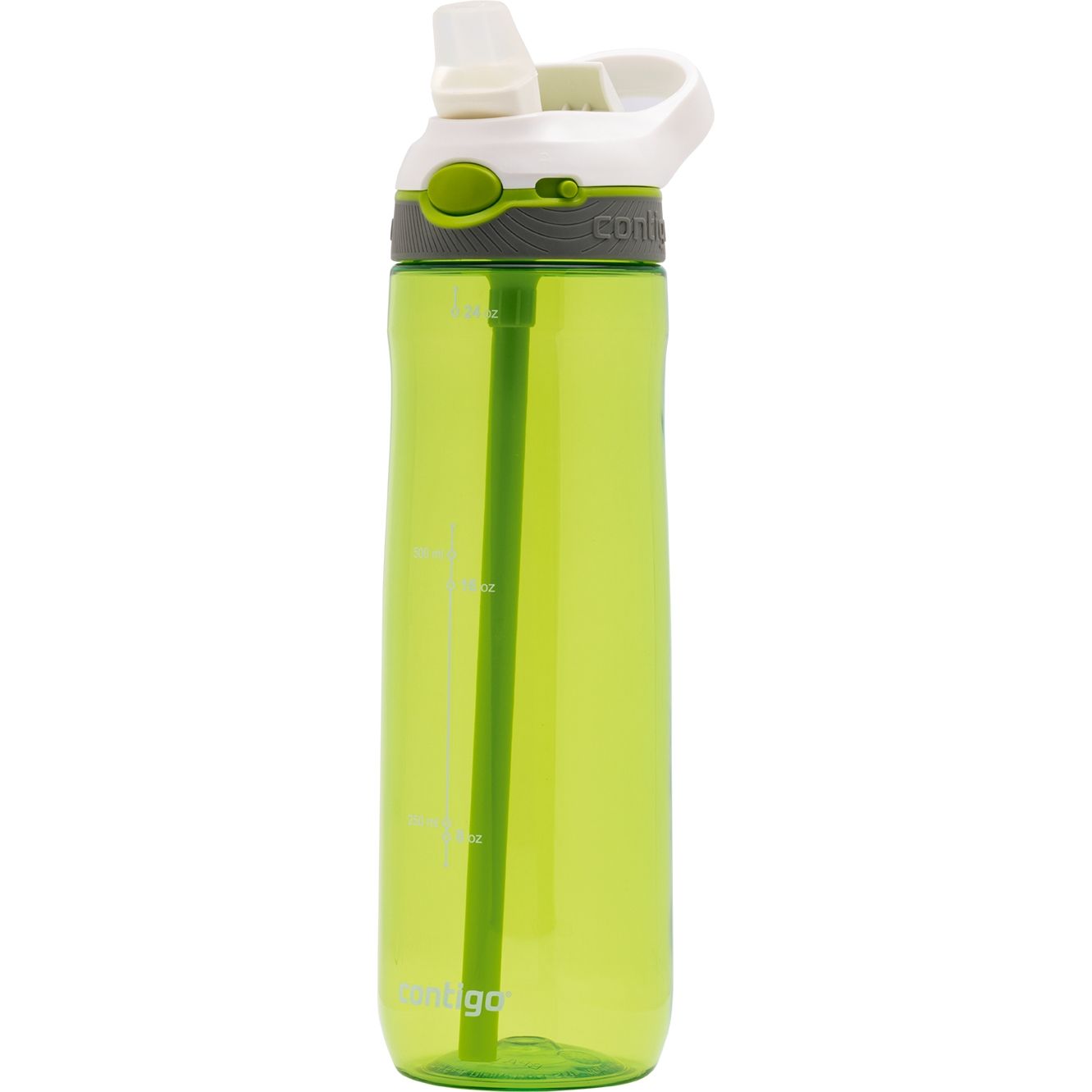 Contigo Ashland Citron