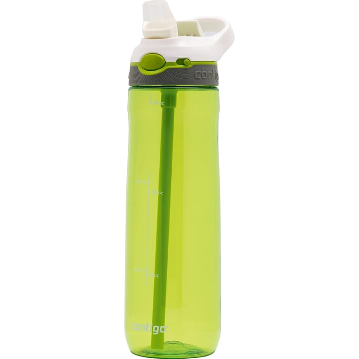 Contigo Ashland Citron Contigo