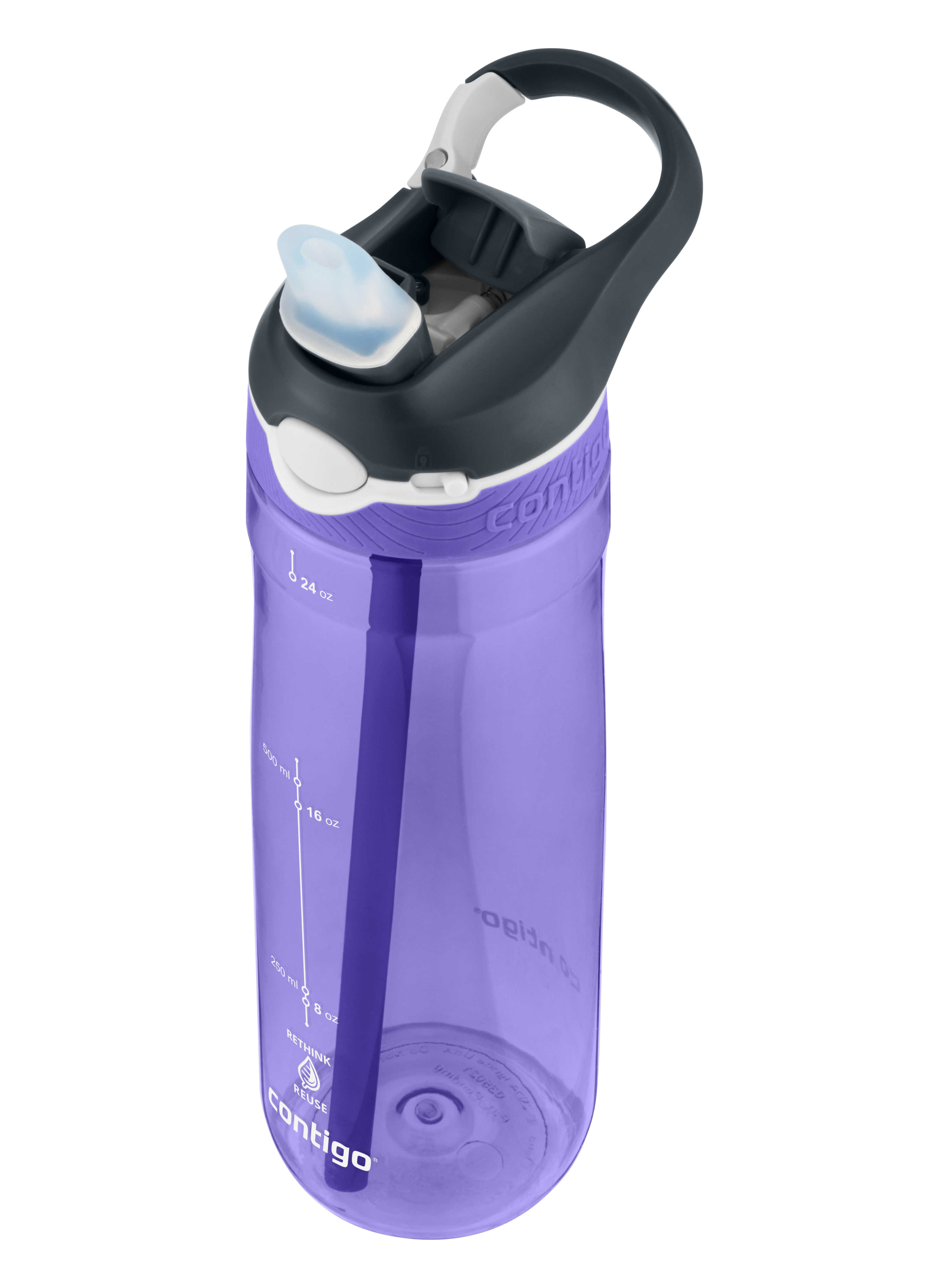 Contigo Ashland Water Bottle Grapevine