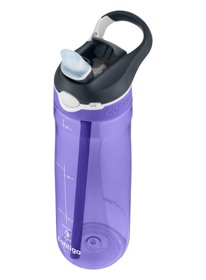 Contigo Ashland Water Bottle Grapevine Contigo