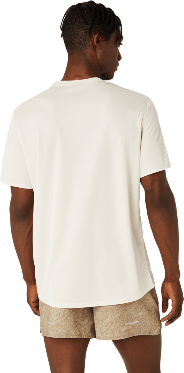 Asics Men's Fujitrail Logo Short Sleeve Top Oatmeal/Feather Grey/Pepper Asics