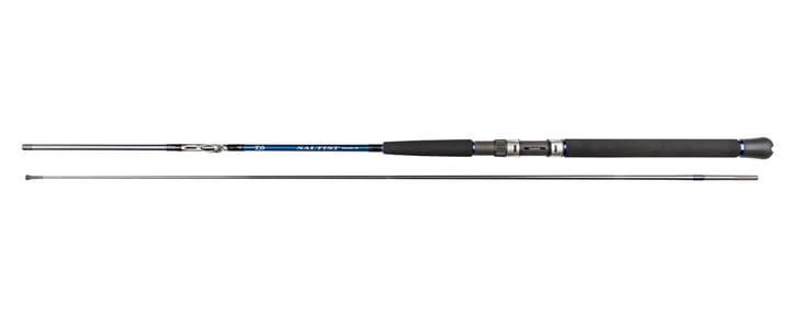 Daiwa Daiwa Saltist Interline Trolling Daiwa