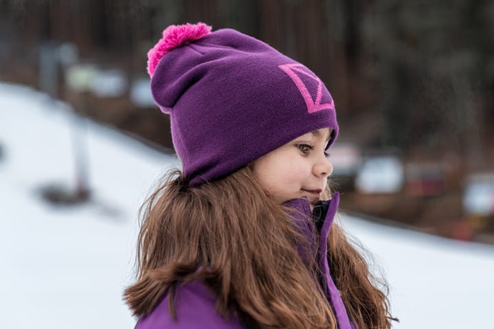 Didriksons Kids' Dropi Beanie Royal Purple Didriksons