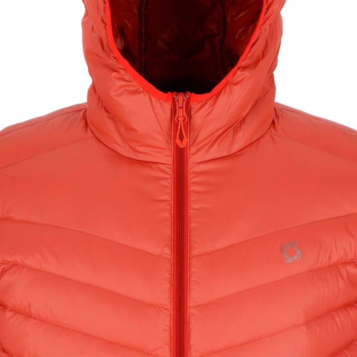 Doite Parka Pulma Kori Orange