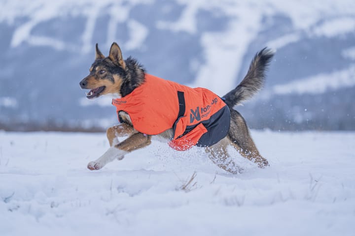 Non-stop Dogwear Long Distance + Jacket Orange Non-stop Dogwear