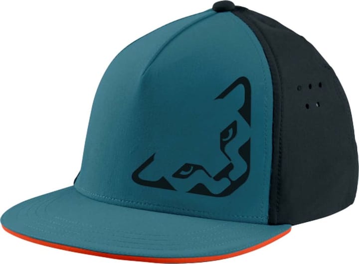 Dynafit Graphic Performance Headband Storm Blue Casquettes et