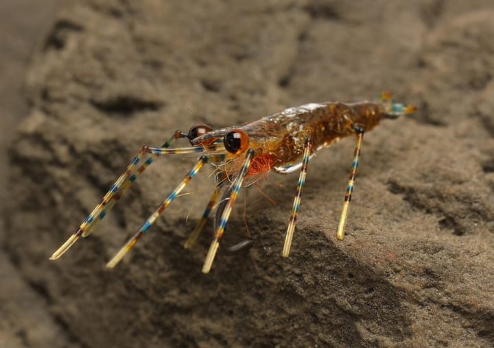 Easy Shrimp Eyes Easy Shrimp Legs 2.0 Trans Dirty Brown Easy Shrimp Eyes