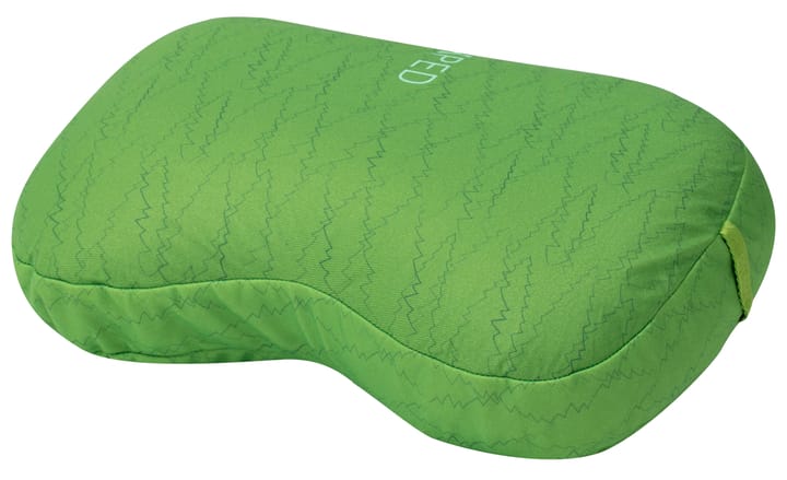 Exped Downpillow L Lichen Forest Ruby Red Exped