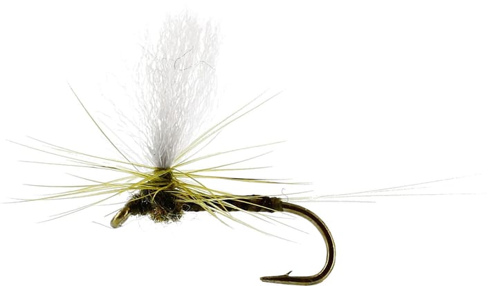 Unique Flies Baetis Dun Quill Olive Olive Unique Flies