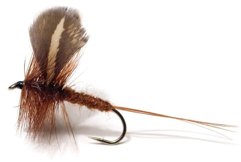 Unique Flies Rocken Str. 10 Brown Unique Flies