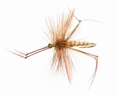 Unique Flies Daddy Long Legs #12 Tan/Brown Tan/brown Unique Flies