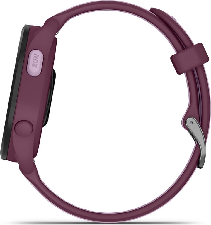 Garmin Forerunner 165 Music Berry/Lilac Garmin