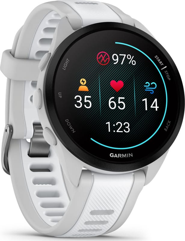 Garmin Forerunner 165 Music Mist Grey/Whitestone Garmin