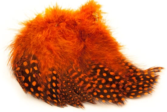 The Fly Co Guinea Fowl Strung Orange The Fly Co