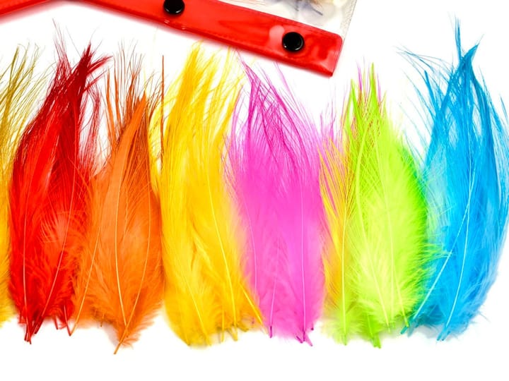 Frodin Flies Frödin Heron Hackle Feather Pack 10 Farger, 100 Fjær Frodin Flies