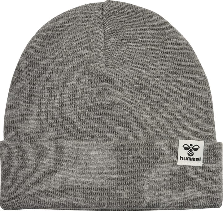 Hummel Kids' hmlPARK Beanie (2022) Medium Melange Hummel