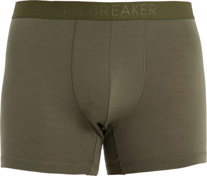 Icebreaker M ANATOMICA BRIEFS, Loden - Fast and cheap shipping 
