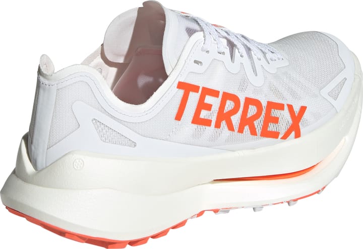 Adidas Men's Terrex Agravic Speed Ultra Ftwwht/impora/dshgry Adidas