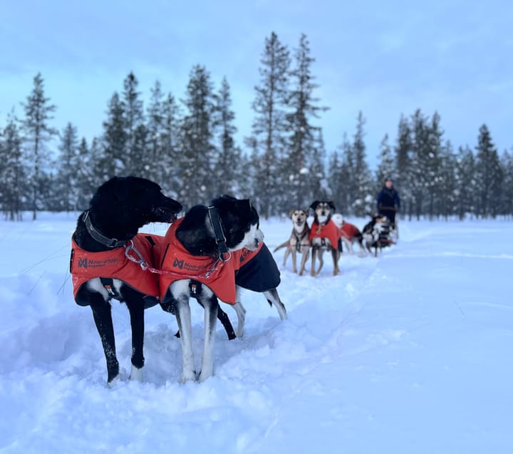 Non-stop Dogwear Long Distance + Jacket Orange Non-stop Dogwear