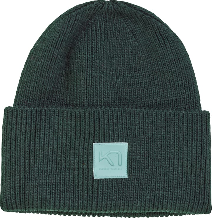 Kari Traa Women's Kyte Beanie (2020) Pine Kari Traa