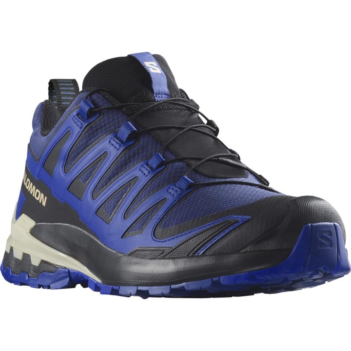 Salomon Men's XA Pro 3D V9 GORE-TEX Blue Print/Surf The Web/Lapis Blue Salomon