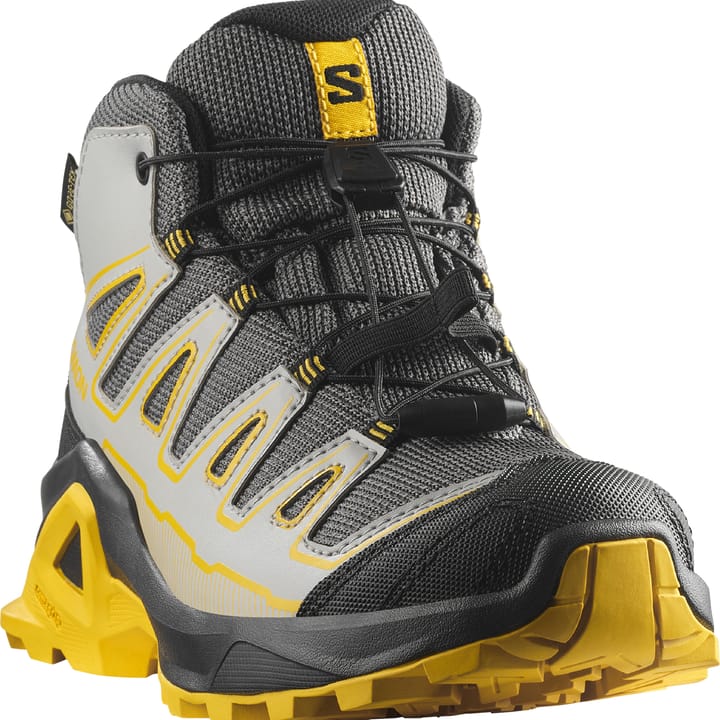 Salomon X Ultra Mid Gore-Tex Castlerock/black/spicy Mustard Salomon