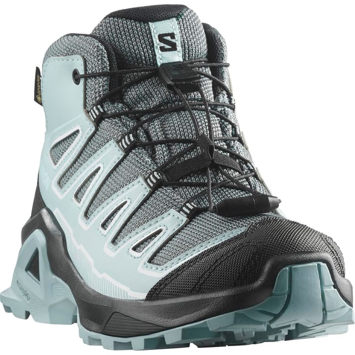 Salomon X Ultra Mid Gore-Tex Turbulence/black/tourmaline Salomon