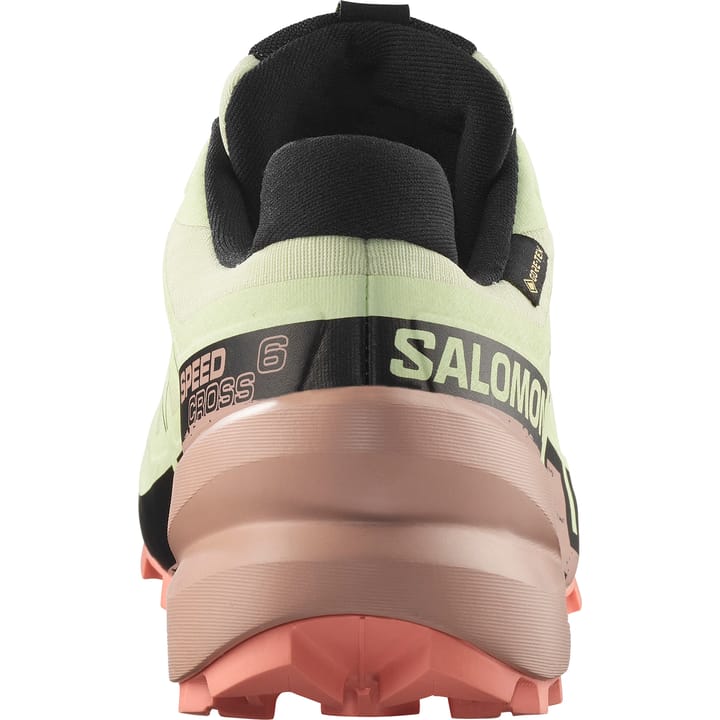 Salomon Women's Speedcross 6 GORE-TEX Lime Cream/Mahogany Rose/Black Salomon