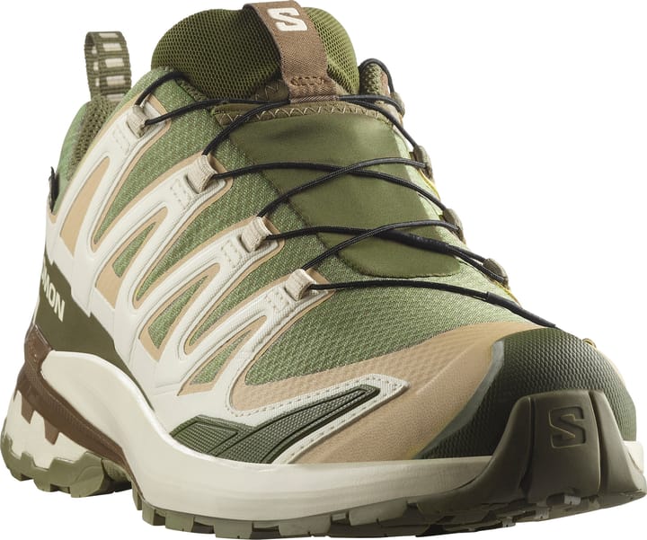 Salomon Men's XA 3D Pro V9 GORE-TEX Deep Lichen Green/safari/dark Earth Salomon