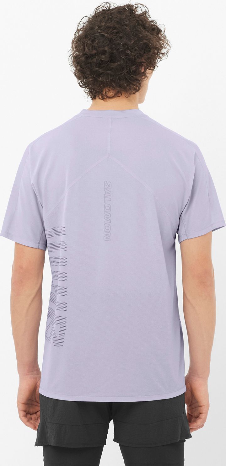 Salomon Men's Sense Aero Graphic Tee GFX Cosmic Sky/castelrock/ Salomon