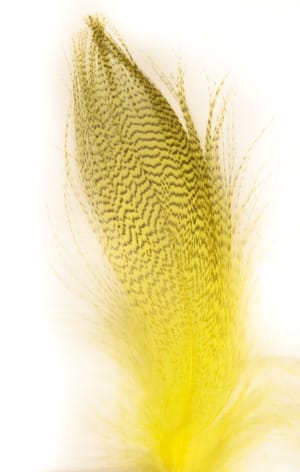 Wapsi Mallard Barred Flank Mayfly Yellow Wapsi