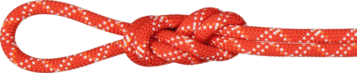 Mammut 9.5 Gym Classic Rope Classic Standard Raspberry-White Mammut