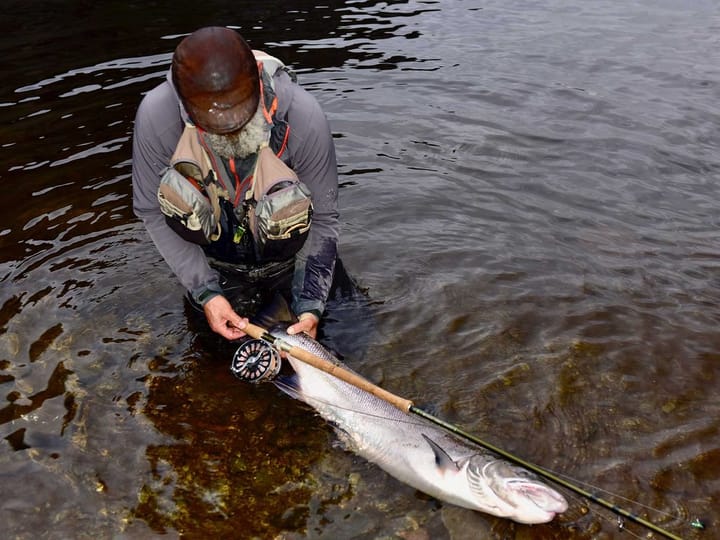 Frodin Flies Frödin ‘Wild Salmon’ C&R Measuring Stick White Frodin Flies