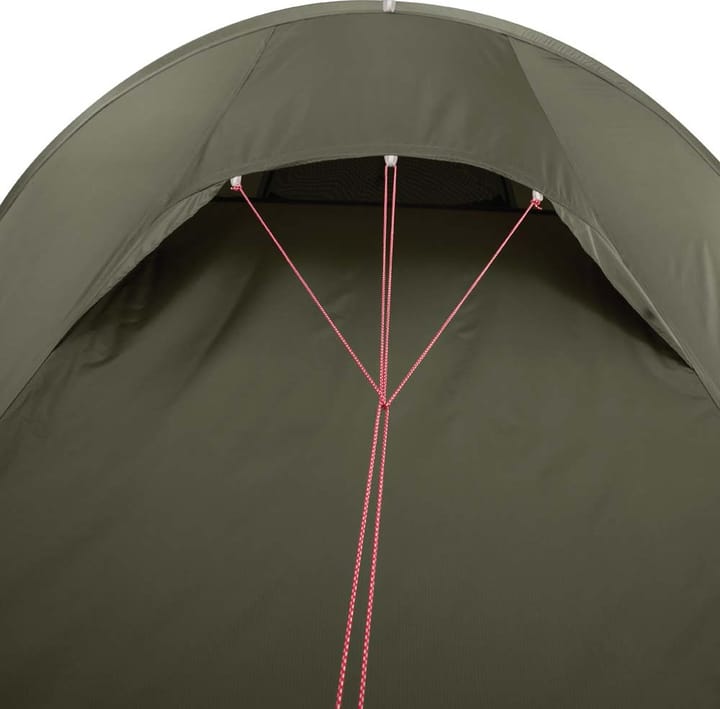 MSR Tindheim 2-Person Backpacking Tunnel Tent Green MSR
