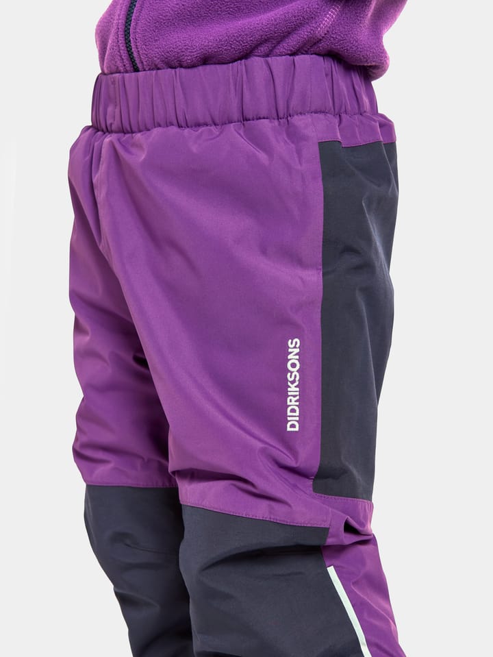 Didriksons Kids' Narvi Pant 2 Royal Purple Didriksons