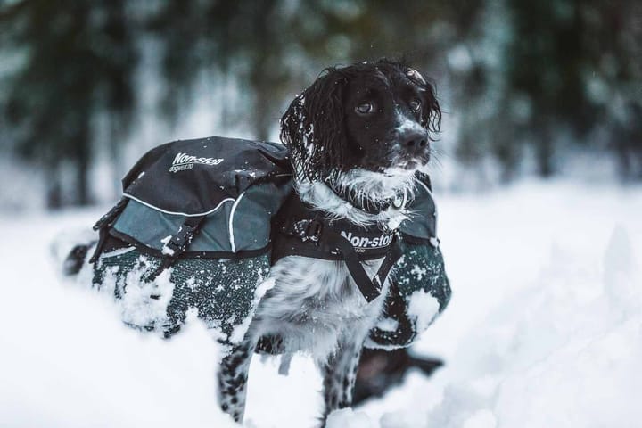 Non-stop Dogwear Amundsen  Gray/Black Non-stop Dogwear