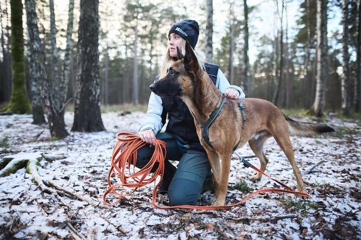 Non-stop Dogwear Friction Long Line 10m Orange Non-stop Dogwear