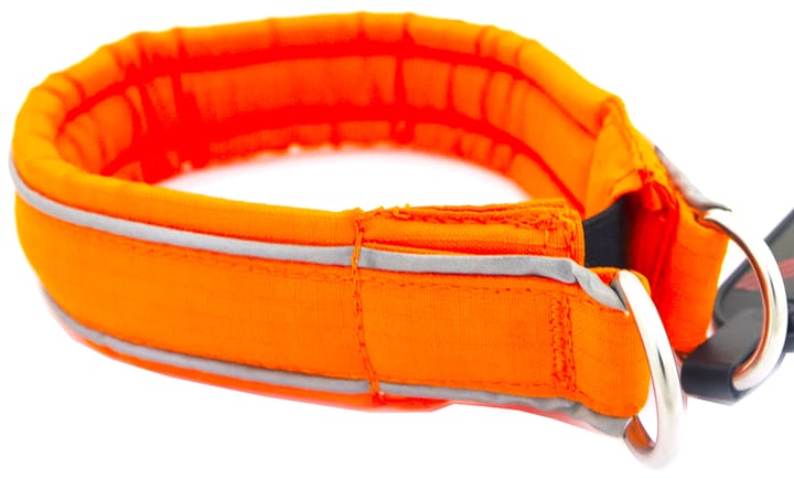 Non-stop Dogwear Safe Collar, Cm Orange Non-stop Dogwear