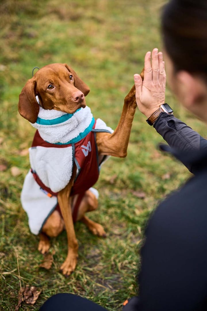 Non-stop Dogwear Trekking Fleece Jacket Grey/Wine/Teal Non-stop Dogwear