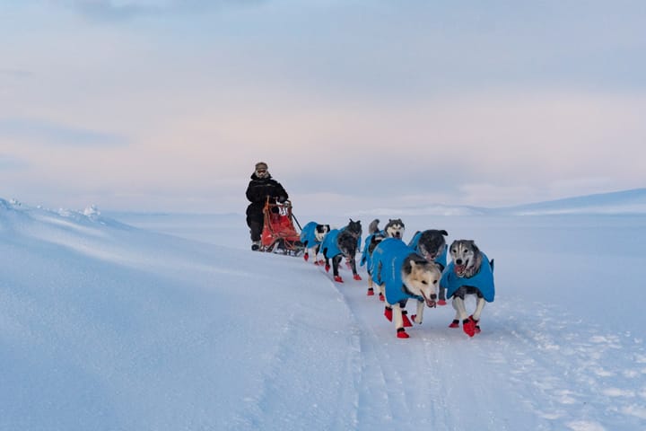 Non-stoppolar Anojakka Tundra White Non-stop Polar