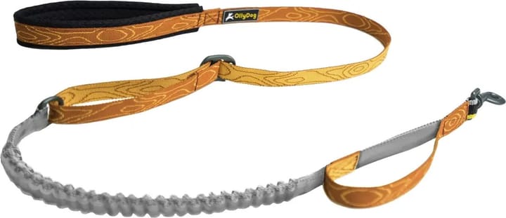 OllyDog Flagstaff Adjustable Spring Leash Blaze Bark OllyDog